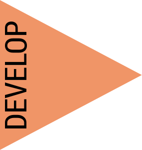 Develop